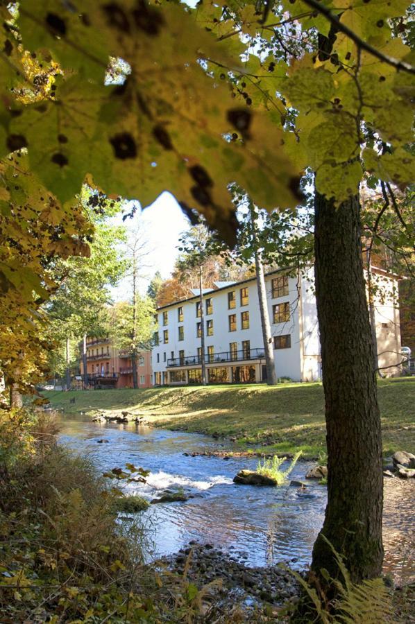 Hotel Mir-Jan Spa Lądek-Zdrój Екстериор снимка